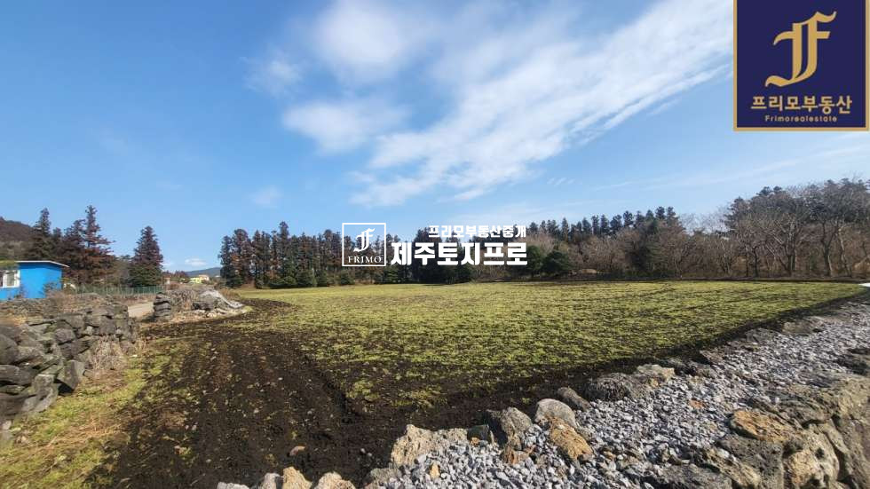 제주 제주시 조천읍 선흘리 제주시 조천읍 선흘리 전원주택부지,단독주택부지,타운하우스부지로 추천드리는 토지 매매 매물번호 10190 사진 1
