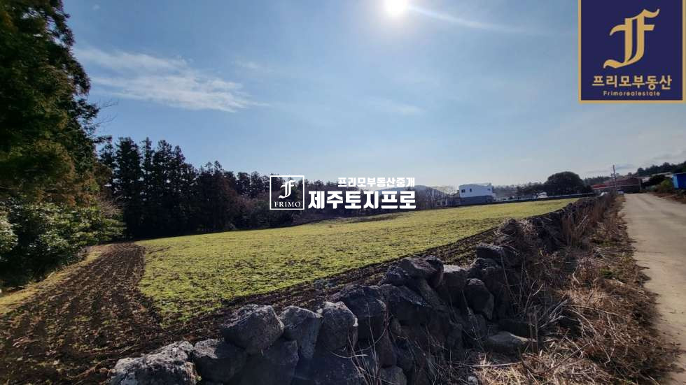 제주 제주시 조천읍 선흘리 제주시 조천읍 선흘리 전원주택부지,단독주택부지,타운하우스부지로 추천드리는 토지 매매 매물번호 10190 사진 4