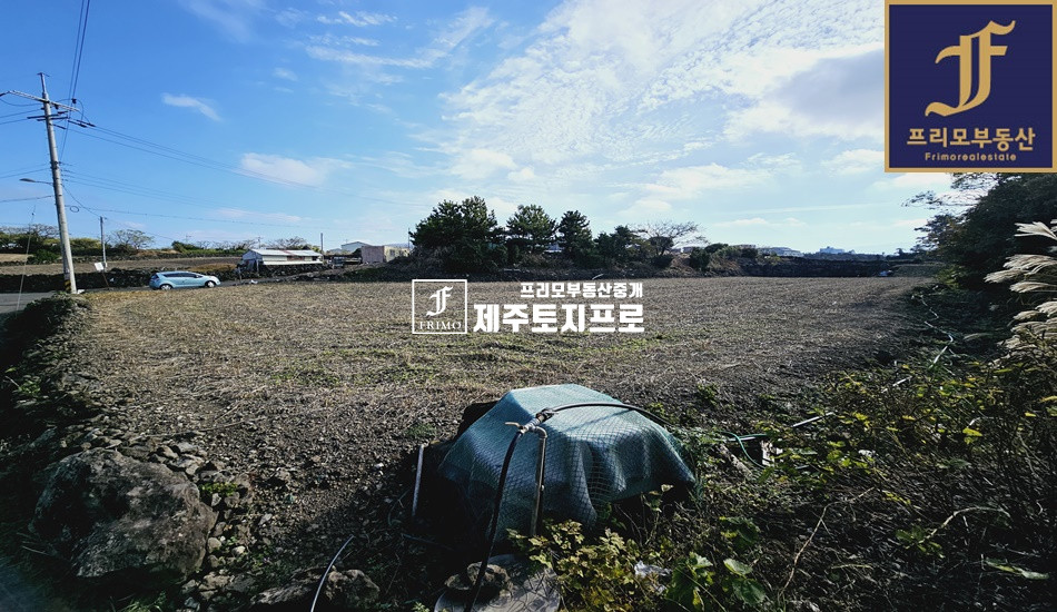 제주 제주시 이호이동 창고부지/렌트카업체 추천드리는 토지 매매 매물번호 10486 사진 1