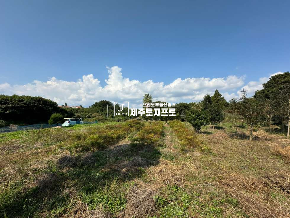 제주 서귀포시 표선면 하천리 급매/서귀포시 표선면 하천리 모양좋은 토지매매/약3m이상 도로접/신풍입구교차로진입용이 매매 매물번호 10475 사진 1