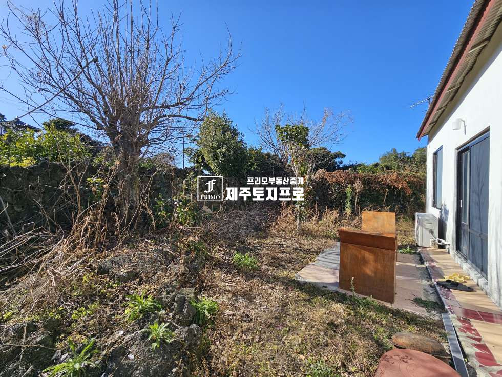 제주 서귀포시 성산읍 난산리 급매/서귀포시 성산읍 난산리 단독주택매매/독채펜션으로 활용도 최상/투자용으로도 추천 매매 매물번호 10496 사진 18