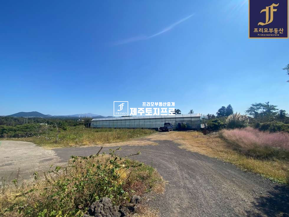 제주 제주시 한경면 저지리 제주시 한경면 저지리 이차선도로접 토지 및 숙박시설 통매매/저지오름인근 매매 매물번호 10063 사진 4