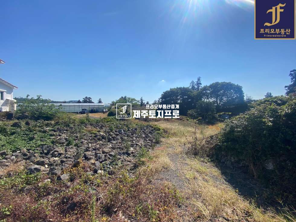제주 제주시 한경면 저지리 제주시 한경면 저지리 이차선도로접 토지 및 숙박시설 통매매/저지오름인근 매매 매물번호 10063 사진 9