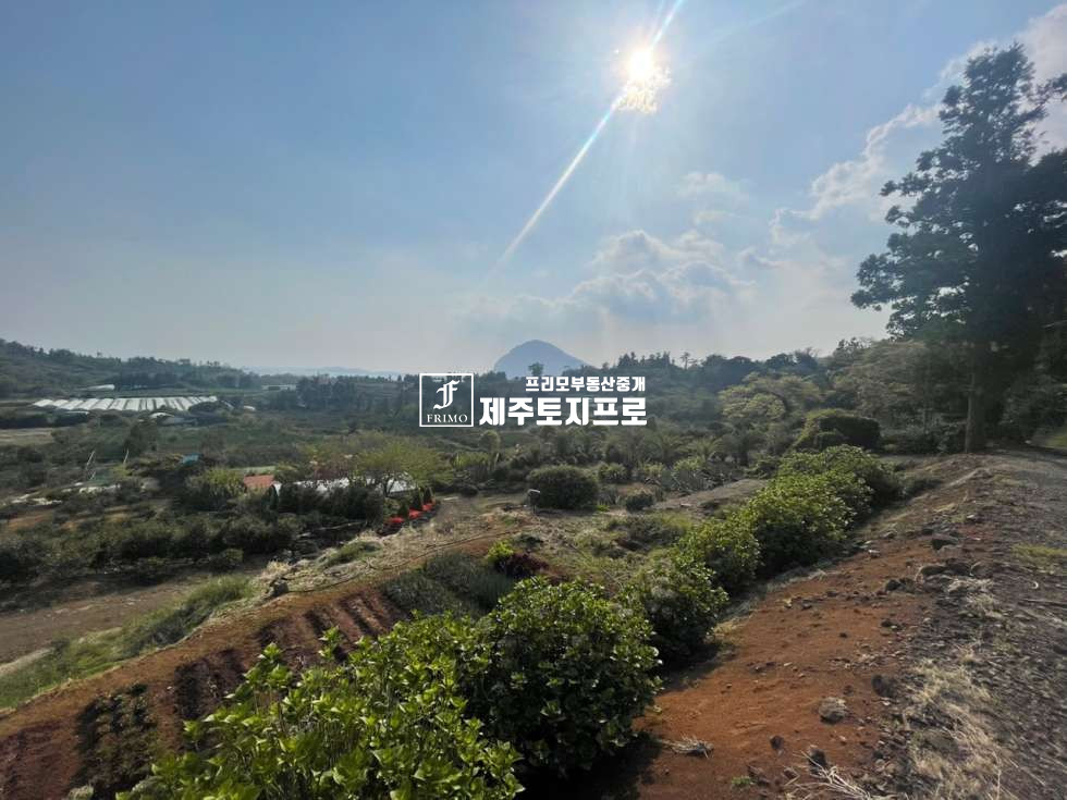 제주 서귀포시 안덕면 감산리 서귀포시 안덕면 감산리 뷰 최상의 위치한 토지/올레길 코스인근 매매 매물번호 10069 사진 2