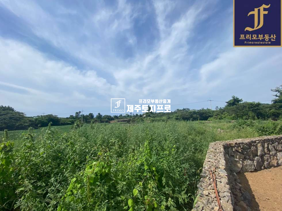 제주 제주시 한경면 낙천리 급매/제주시 한경면 낙천리 전원주택 바로 지을 수 있는 귀한 소형필지/개별등기o/건축허가 및 착공계 완료/도면 o 매매 매물번호 10021 사진 3