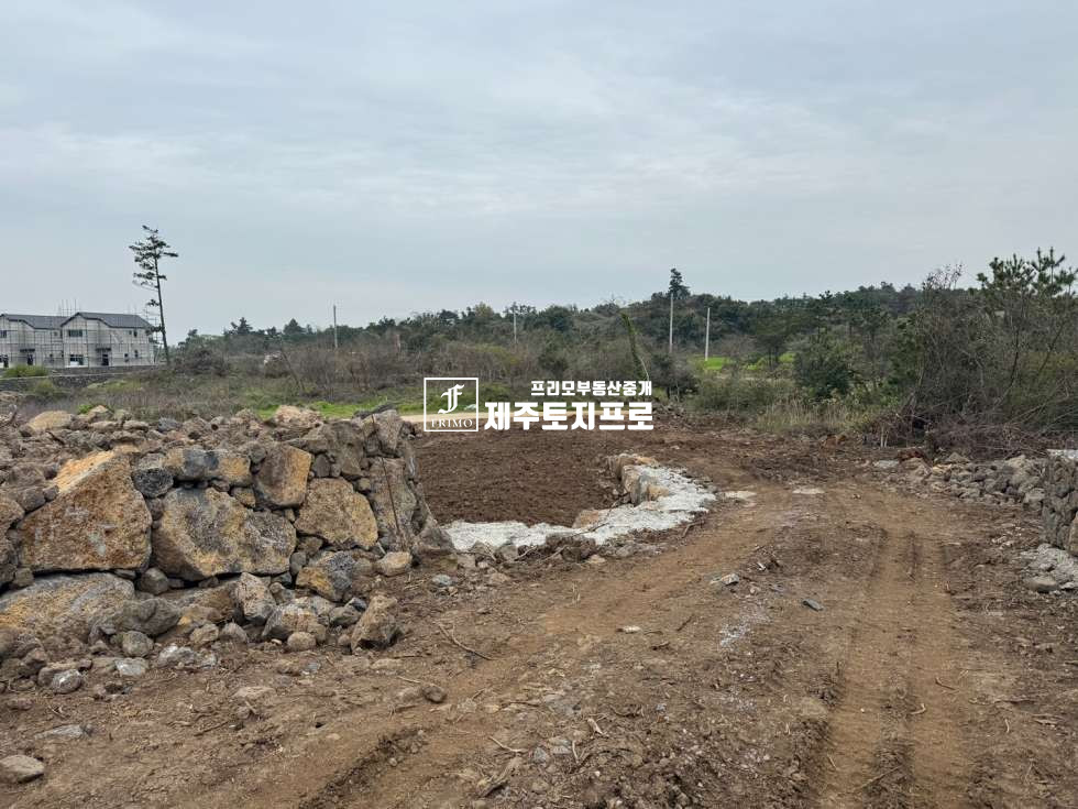 제주 제주시 한경면 조수리 급매/제주시 한경면 조수리 모양좋은 토지매매/전용비완납/건축허가득/단독주택부지,농어촌민박부지 매매 매물번호 10539 사진 5