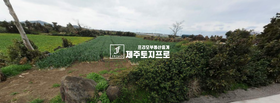 제주 서귀포시 대정읍 무릉리 급급매/서귀포시 대정읍 무릉리 토지매매/약4m이상 도로접/중산간서로 인근/외지인매입가능/나무없는 임야 매매 매물번호 10543 사진 1