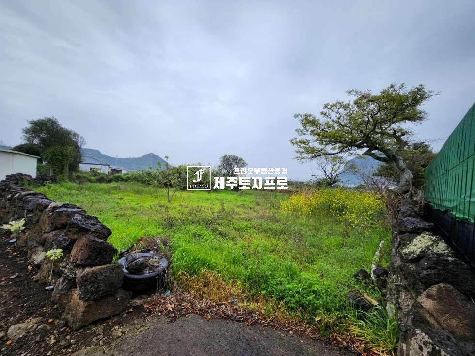 제주 서귀포시 안덕면 사계리 급매/산방산뷰가 나오는 나대지/투자용 토지/기존 주택 멸실 상태 매매 매물번호 10547 사진 1