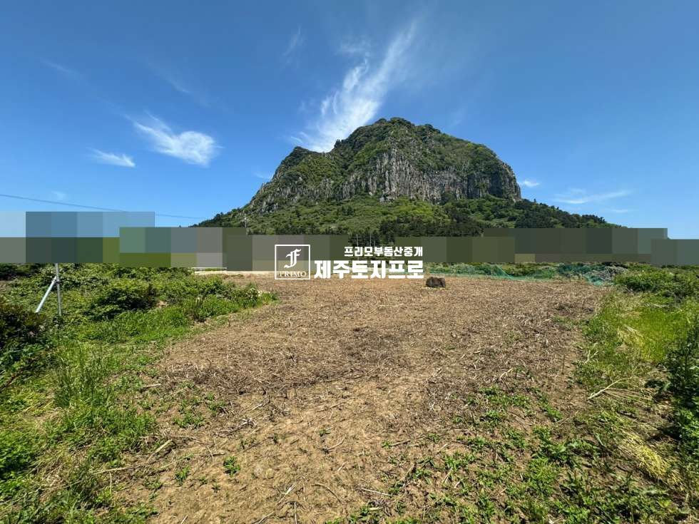 제주 서귀포시 안덕면 사계리 급매/서귀포시 안덕면 사계리 산방산 및 바다뷰 최상 모양좋은 토지매매/건축허가득/전용비완납 매매 매물번호 10555 사진 1