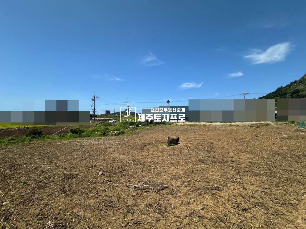 제주 서귀포시 안덕면 사계리 급매/서귀포시 안덕면 사계리 산방산 및 바다뷰 최상 모양좋은 토지매매/건축허가득/전용비완납 매매 매물번호 10555 사진 3