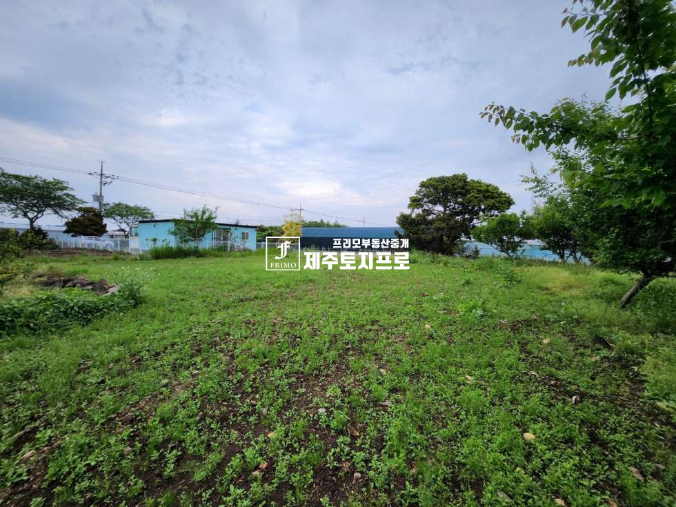 제주 서귀포시 성산읍 삼달리 급매/1억대토지/서귀포시 성산읍 삼달리 단독주택부지로 강력 추천드리는 토지제2공항수혜지역 매매 매물번호 10559 사진 1