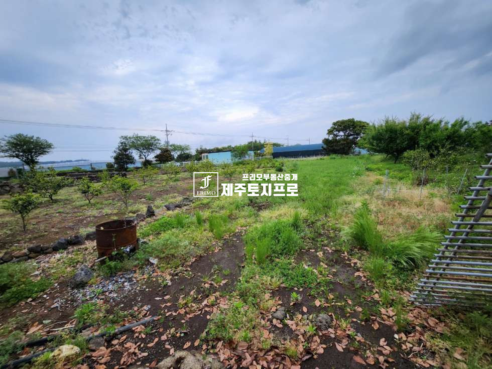 제주 서귀포시 성산읍 삼달리 급매/1억대토지/서귀포시 성산읍 삼달리 단독주택부지로 강력 추천드리는 토지제2공항수혜지역 매매 매물번호 10559 사진 2