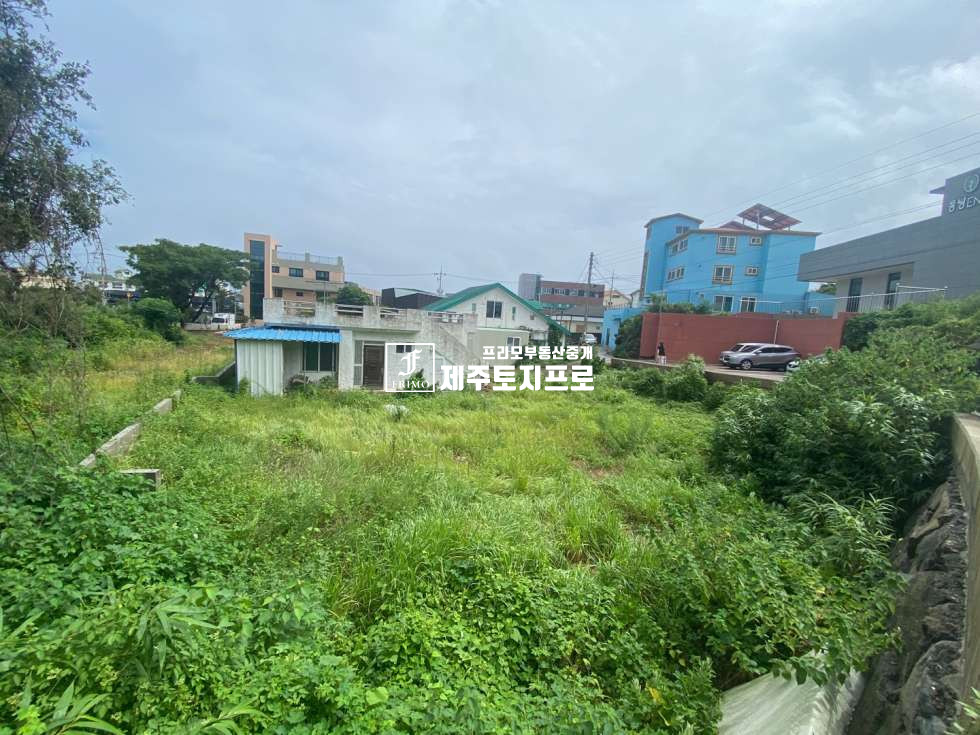 제주 제주시 오라삼동 급급매/제주시 오라삼동 오라오거리 인근 자연녹지,자연취락지구 코너자리 저렴한 토지/원룸다가구 건물 및 상가주택 부지로 강력추천 매매 매물번호 10028 사진 3