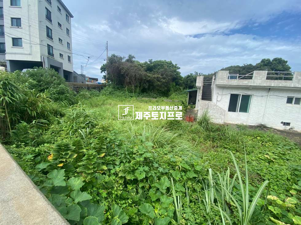 제주 제주시 오라삼동 급급매/제주시 오라삼동 오라오거리 인근 자연녹지,자연취락지구 코너자리 저렴한 토지/원룸다가구 건물 및 상가주택 부지로 강력추천 매매 매물번호 10028 사진 4