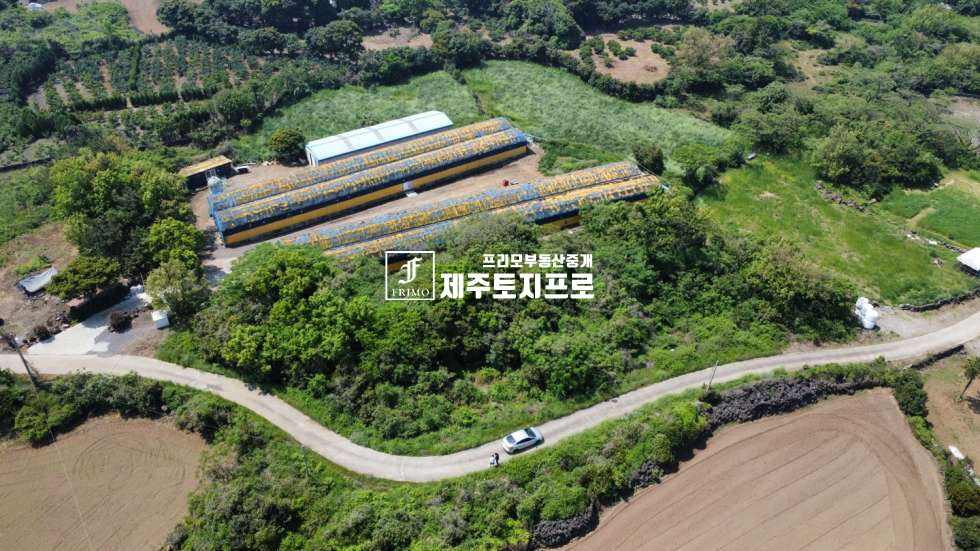 제주 제주시 한림읍 월림리 1억대토지/급급매/제주시 한림읍 월림리 약3m이상 도로 넓게 접한 임야 매매/외지인매입가능/투자용 매매 매물번호 10567 사진 1