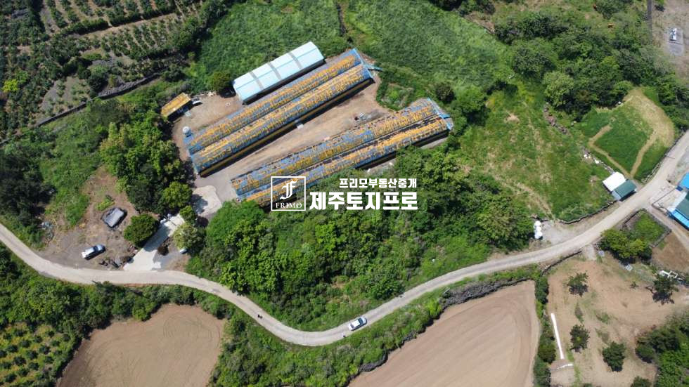 제주 제주시 한림읍 월림리 1억대토지/급급매/제주시 한림읍 월림리 약3m이상 도로 넓게 접한 임야 매매/외지인매입가능/투자용 매매 매물번호 10567 사진 3