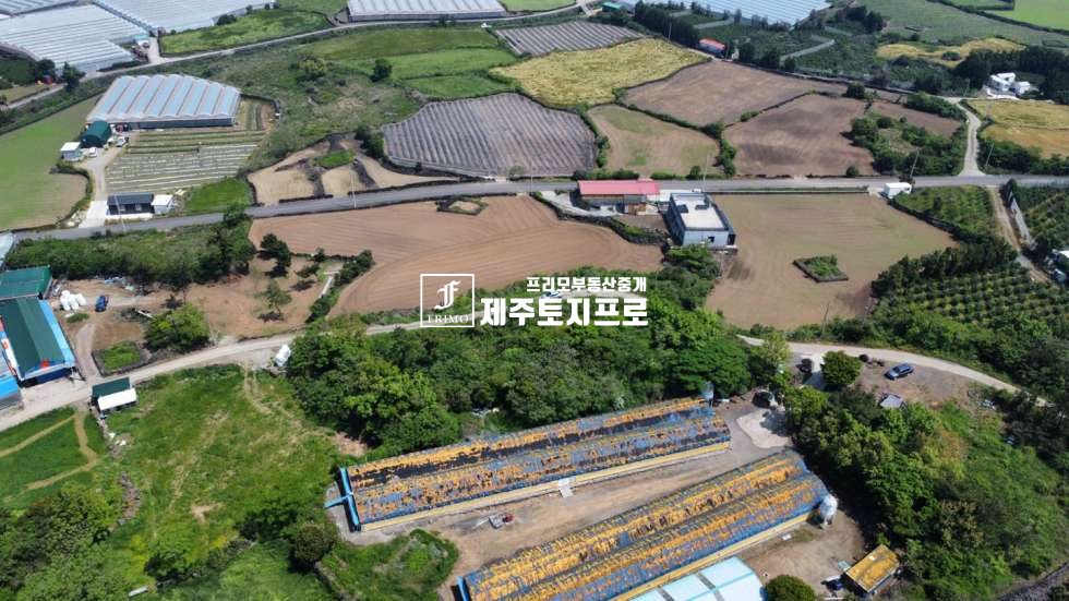 제주 제주시 한림읍 월림리 1억대토지/급급매/제주시 한림읍 월림리 약3m이상 도로 넓게 접한 임야 매매/외지인매입가능/투자용 매매 매물번호 10567 사진 4