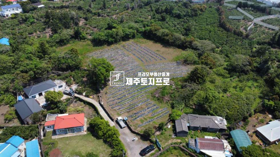 제주 제주시 한림읍 월림리 급급매/제주시 한림읍 월림리 월림삼거리 인근 마을안 모양 좋은 토지매매/인근 시세대비 합리적인 가격 매매 매물번호 10568 사진 1