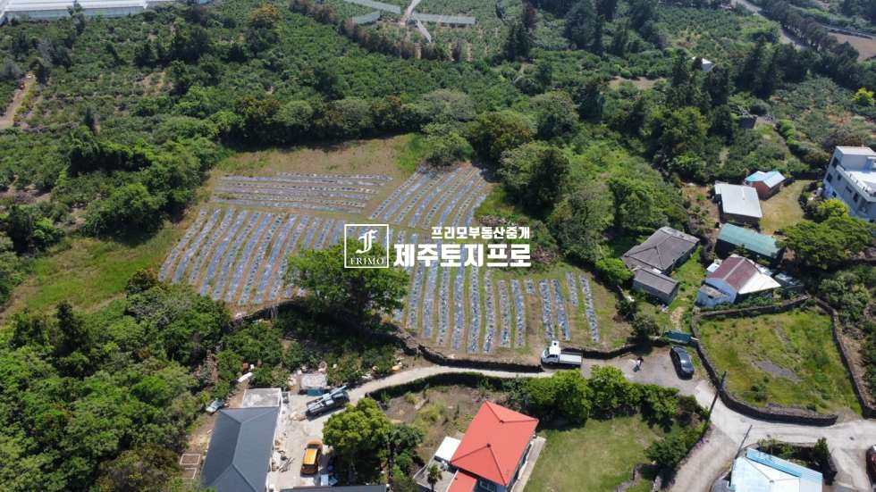제주 제주시 한림읍 월림리 급급매/제주시 한림읍 월림리 월림삼거리 인근 마을안 모양 좋은 토지매매/인근 시세대비 합리적인 가격 매매 매물번호 10568 사진 2