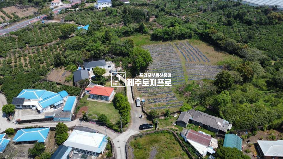 제주 제주시 한림읍 월림리 급급매/제주시 한림읍 월림리 월림삼거리 인근 마을안 모양 좋은 토지매매/인근 시세대비 합리적인 가격 매매 매물번호 10568 사진 3