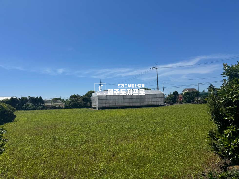제주 제주시 한경면 조수리 제주시 한경면 조수리 코너자리 모양 좋은 토지매매/한라산뷰 최상/인근시세 대비 합리적인 가격 매매 매물번호 10574 사진 6
