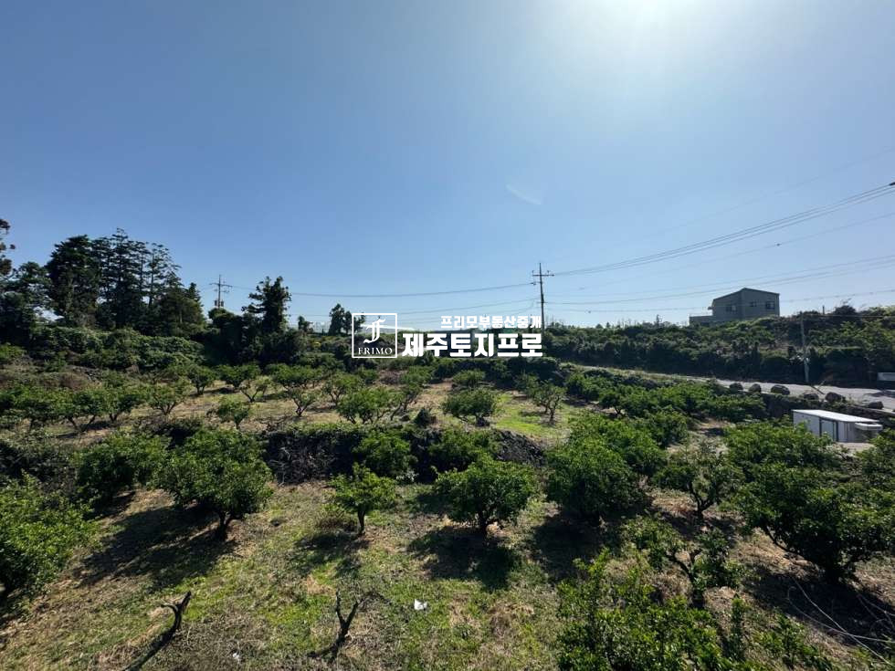 제주 제주시 애월읍 상가리 제주시 애월읍 상가리 모양 좋은 코너자리 토지매매/인근 시세대비 급매가격 매매 매물번호 10582 사진 5