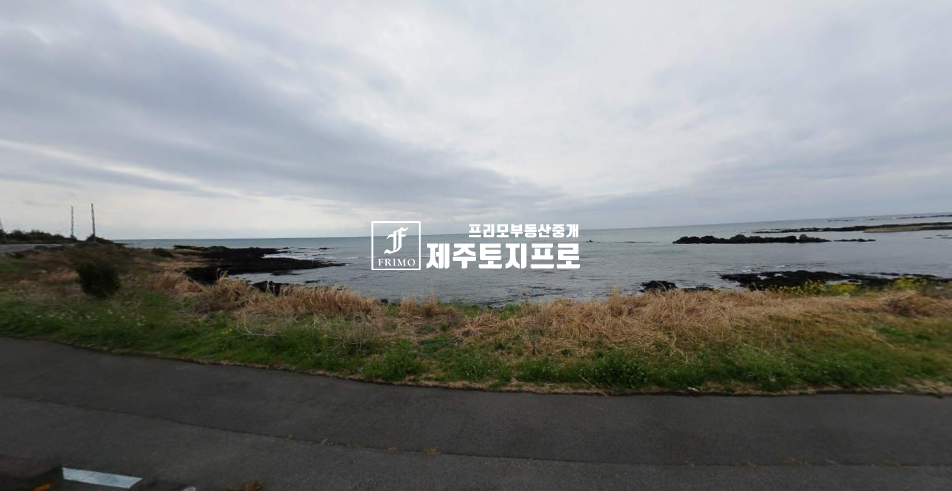 제주 서귀포시 표선면 표선리 서귀포시 표선면 표선리 바닷가인근 도로 잘 접하고 있는 토지매매 매매 매물번호 10517 사진 1