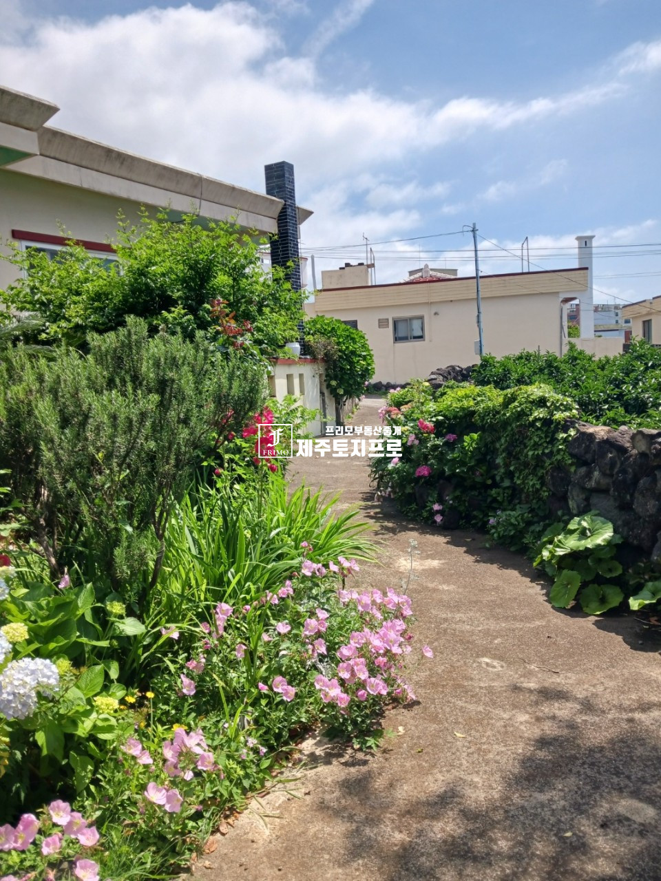 제주 서귀포시 중문동 급급매/서귀포시 중문동 약20평 단측단독주택매매/투자용토지매매/실거주,농어촌민박,투자용으로 추천 매매 매물번호 10585 사진 2