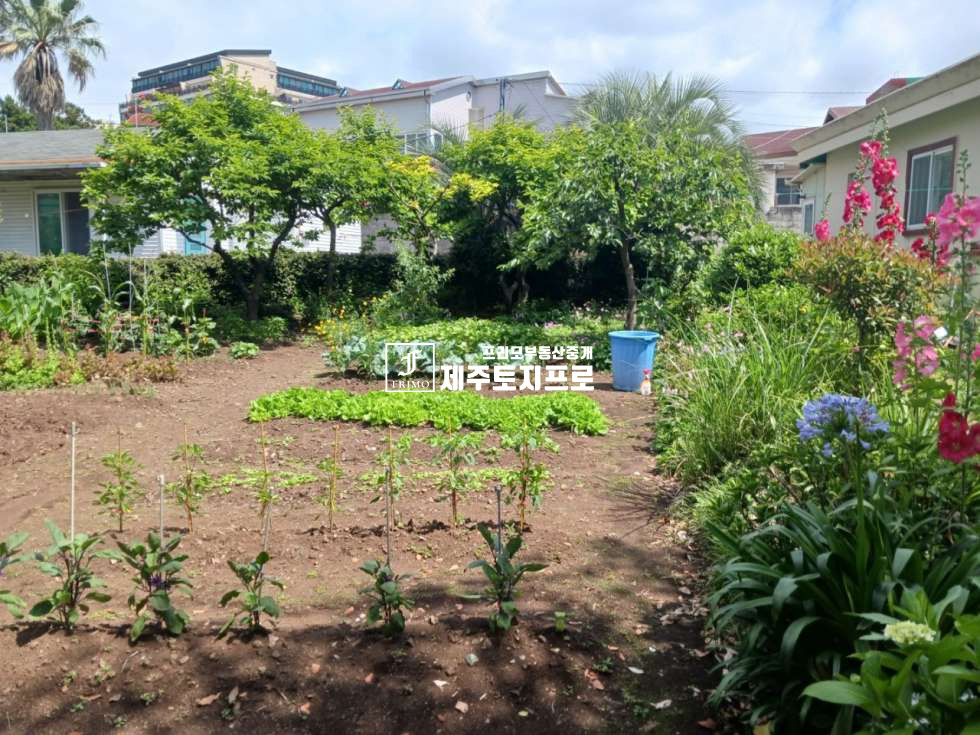 제주 서귀포시 중문동 급급매/서귀포시 중문동 약20평 단측단독주택매매/투자용토지매매/실거주,농어촌민박,투자용으로 추천 매매 매물번호 10585 사진 5