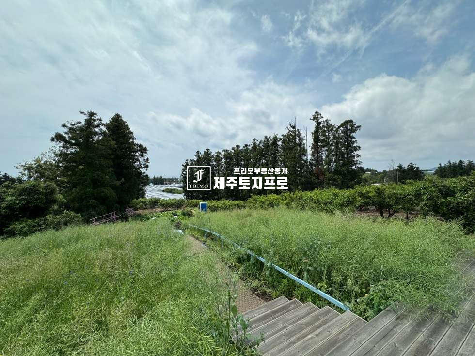 제주 서귀포시 남원읍 위미리 급급매/서귀포시 남원읍 위미리 토지매매/상가건물2동/조경/정원조성완료 매매 매물번호 10598 사진 8