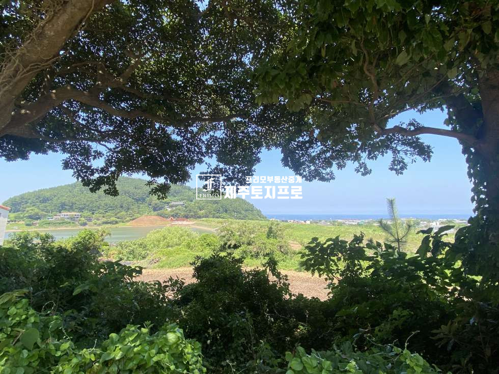 제주 제주시 애월읍 수산리 애월읍수산리토지매매/애월토지매매/수산저수지인근토지매매 매매 매물번호 10641 사진 1