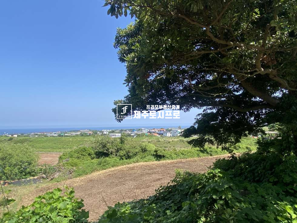 제주 제주시 애월읍 수산리 애월읍수산리토지매매/애월토지매매/수산저수지인근토지매매 매매 매물번호 10641 사진 3