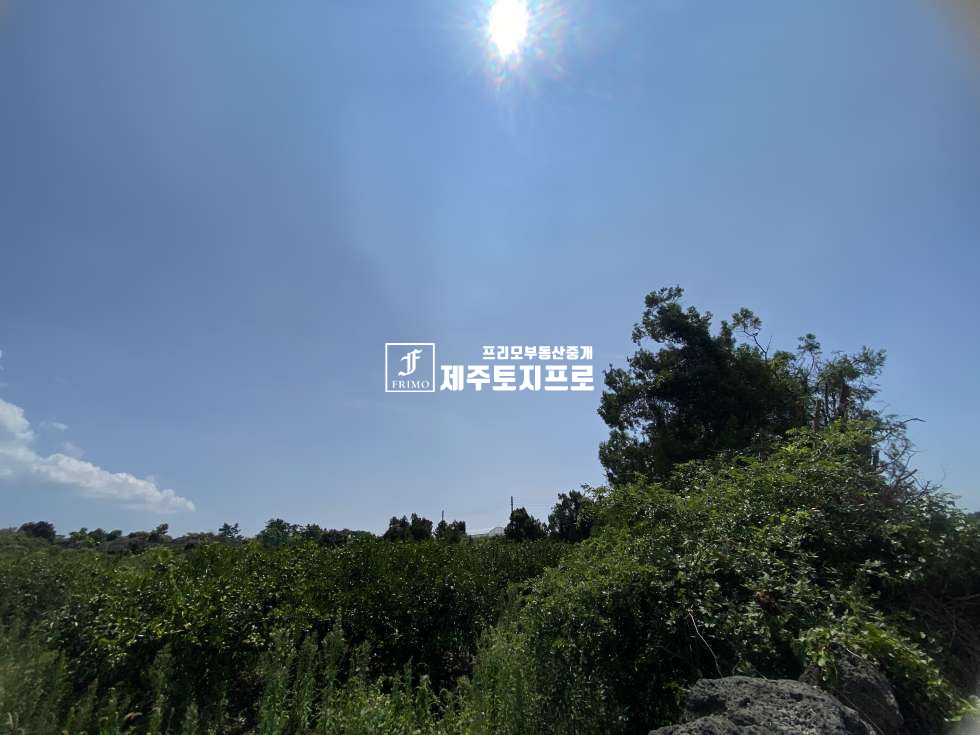 제주 제주시 한경면 두모리 (급매)한경면토지/도로접토지/과수원토지/토지매매 매매 매물번호 10648 사진 3