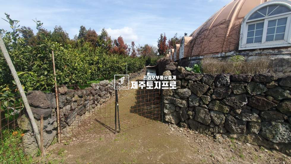 제주 제주시 애월읍 납읍리 납읍리생활권에 있는/잘가꿔진/과수원/370평 매매 매물번호 10649 사진 1