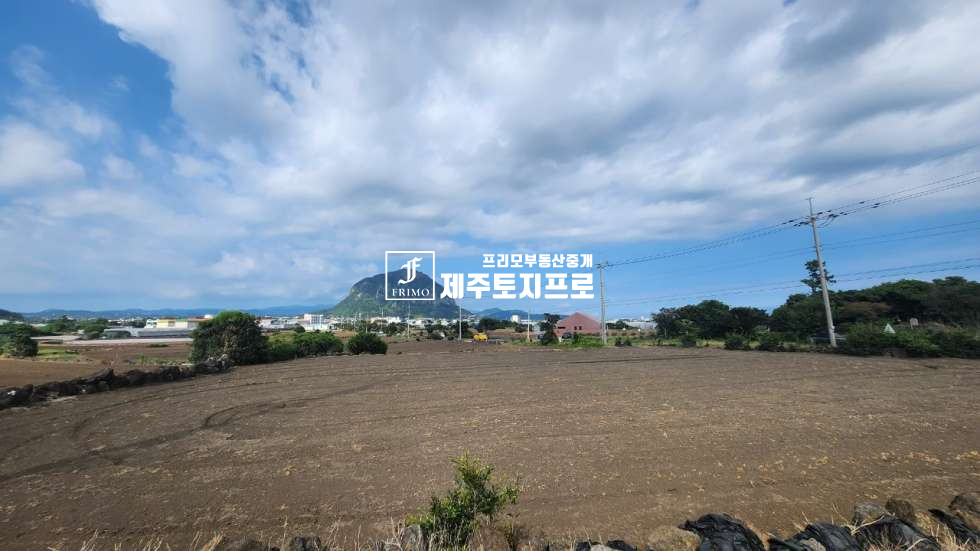 제주 서귀포시 대정읍 상모리 사계입구 교차로 인근 총3필지/근생상가가 있는 토지/전+대지 매매 매물번호 10645 사진 1