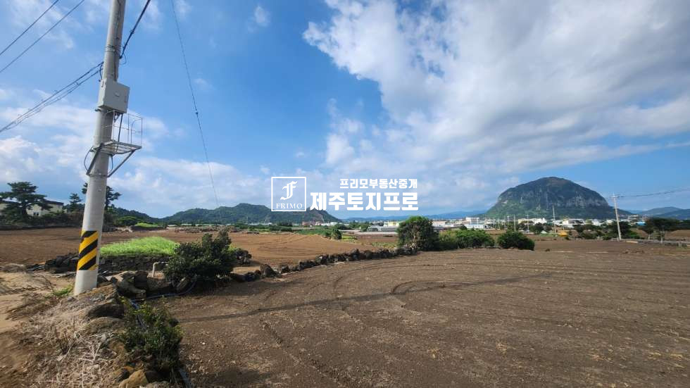 제주 서귀포시 대정읍 상모리 사계입구 교차로 인근 총3필지/근생상가가 있는 토지/전+대지 매매 매물번호 10645 사진 2