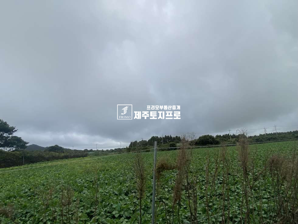 제주 서귀포시 표선면 가시리 성읍교차로/성읍민속마을/태양광토지/농업용수도있음/표선토지/서귀포토지 매매 매물번호 10628 사진 2