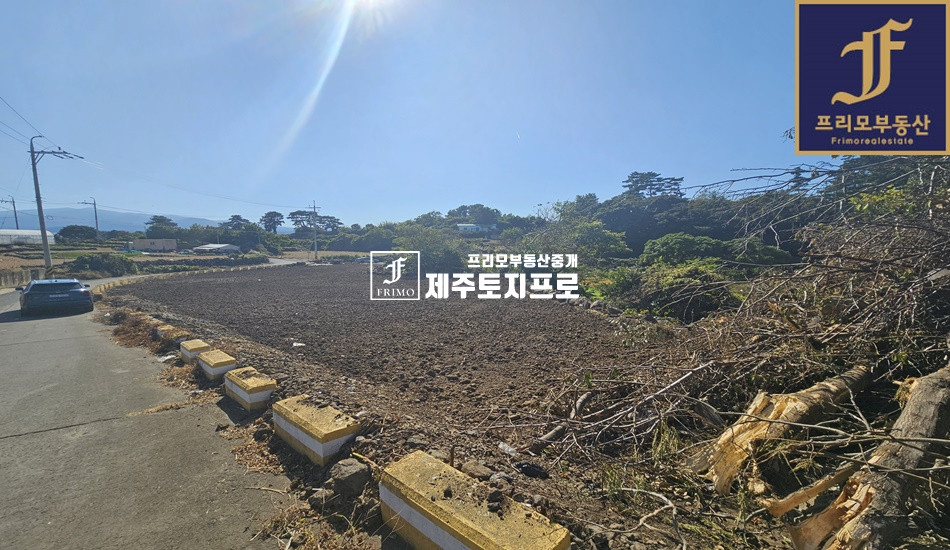 제주 제주시 이호일동 일주서로/대도로/이호테우/토지 매매 매매 매물번호 10478 사진 2
