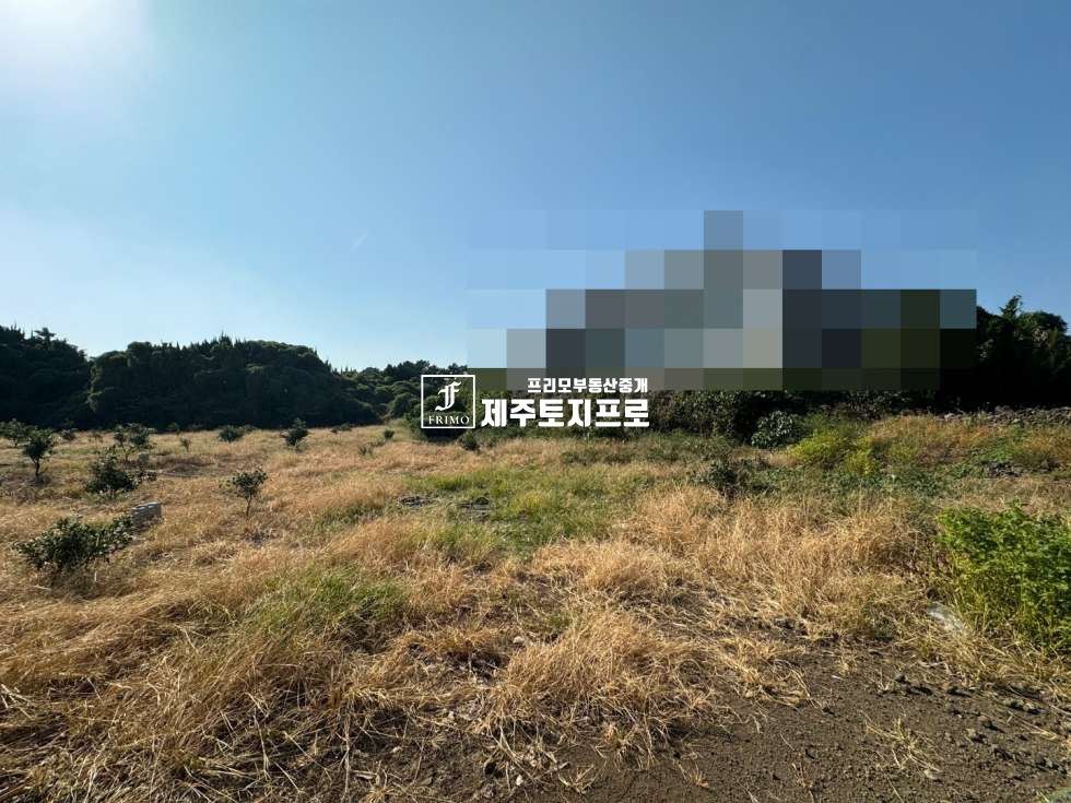 제주 서귀포시 토평동 급매/서귀포시 토평동 칼호텔인근 코너자리 토지매매/분할매매가능/바다뷰o 매매 매물번호 10474 사진 2