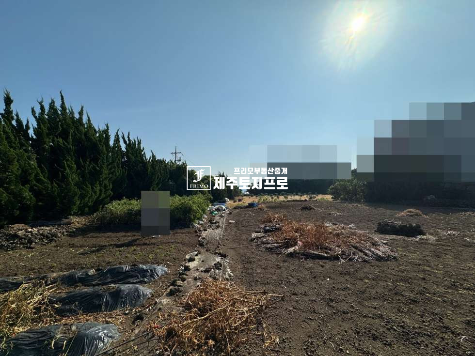 제주 서귀포시 토평동 급매/서귀포시 토평동 칼호텔인근 코너자리 토지매매/분할매매가능/바다뷰o 매매 매물번호 10474 사진 5