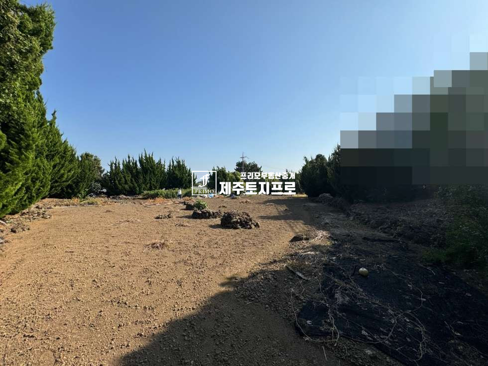 제주 서귀포시 토평동 급매/서귀포시 토평동 칼호텔인근 코너자리 토지매매/분할매매가능/바다뷰o 매매 매물번호 10474 사진 6