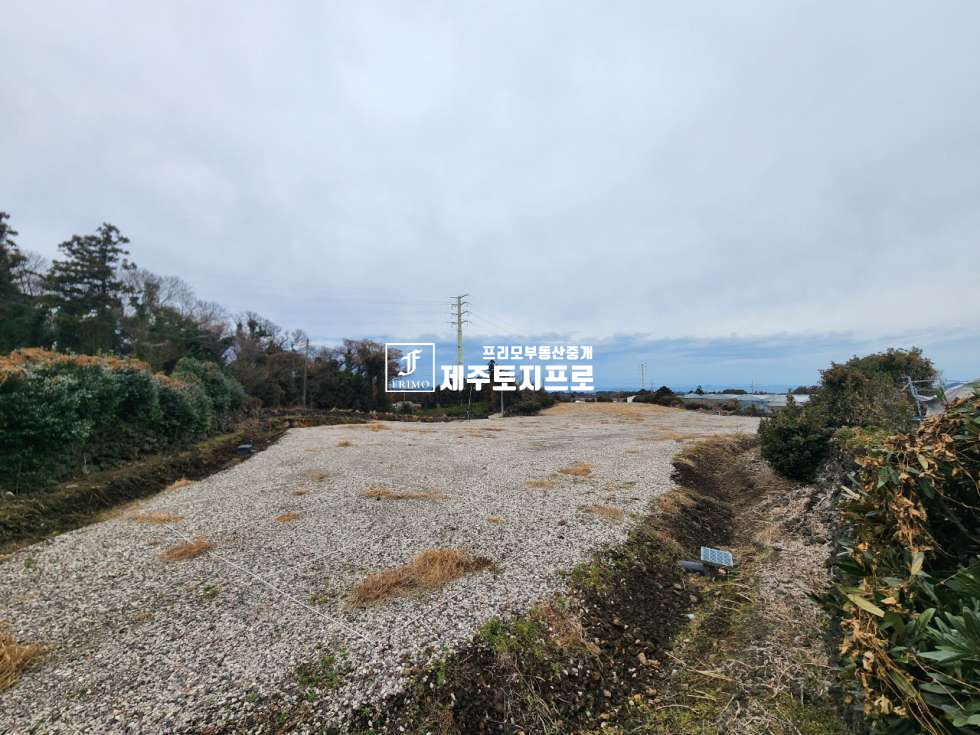 제주 제주시 조천읍 선흘리 급매/제주시 조천읍 선흘리 창고부지,공장부지 매매/외지인 매입가능/왕복이차선도로접 매매 매물번호 10333 사진 7