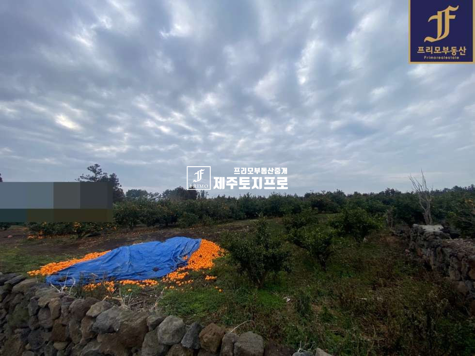 제주 제주시 애월읍 광령리 제주시 애월읍 광령리 전원주택,타운하우스 부지로 강력추천드리는 토지/한라산뷰o/먼바다뷰o 매매 매물번호 10189 사진 4