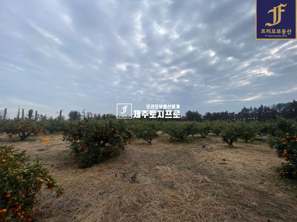 제주 제주시 애월읍 광령리 제주시 애월읍 광령리 전원주택,타운하우스 부지로 강력추천드리는 토지/한라산뷰o/먼바다뷰o 매매 매물번호 10189 사진 9