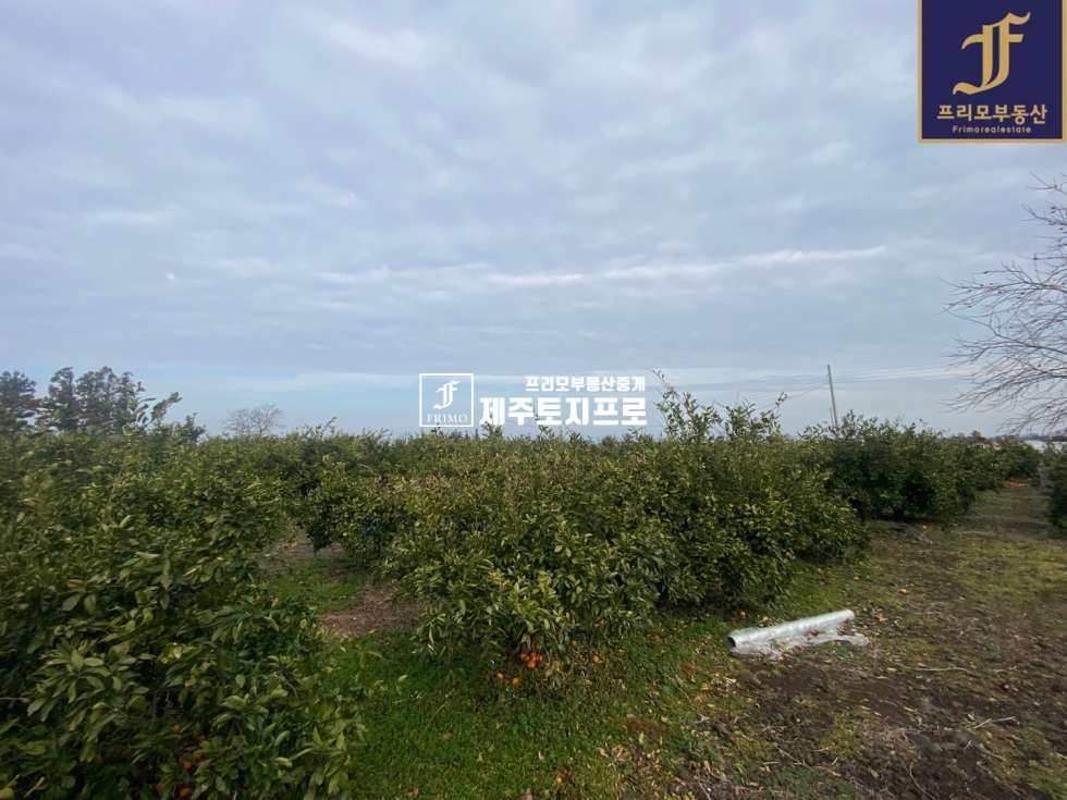 제주 제주시 애월읍 광령리 제주시 애월읍 광령리 전원주택,타운하우스 부지로 강력추천드리는 토지/한라산뷰o/먼바다뷰o 매매 매물번호 10189 사진 16