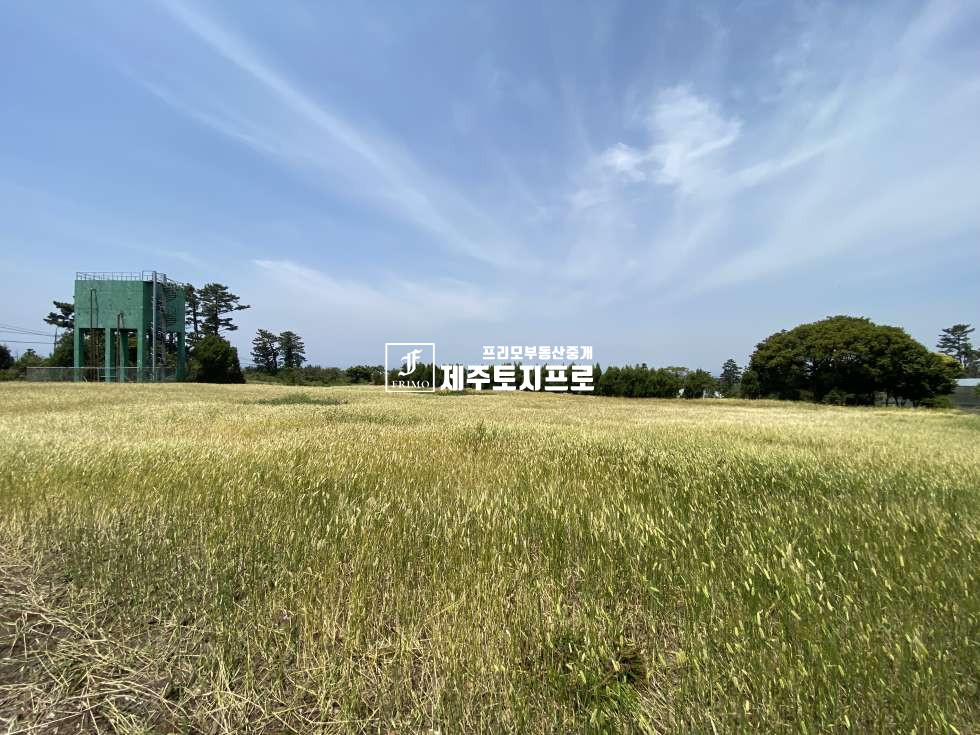제주 제주시 한림읍 명월리 한림명월리토지매매/건축가능토지/공장제조업가능토지/대형토지매매 매매 매물번호 10723 사진 3