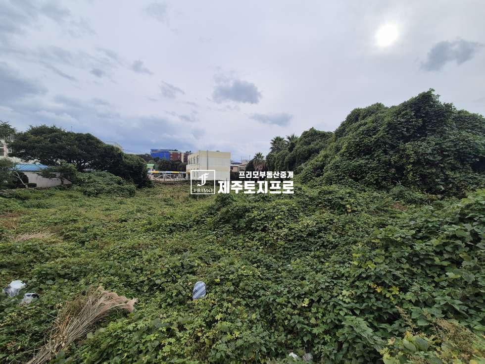 제주 서귀포시 성산읍 고성리 서귀포시 성산읍 고성리 투자용 맹지/인근 시세대비 저렴한 매매금액/동남초등학교인근 매매 매물번호 10768 사진 3
