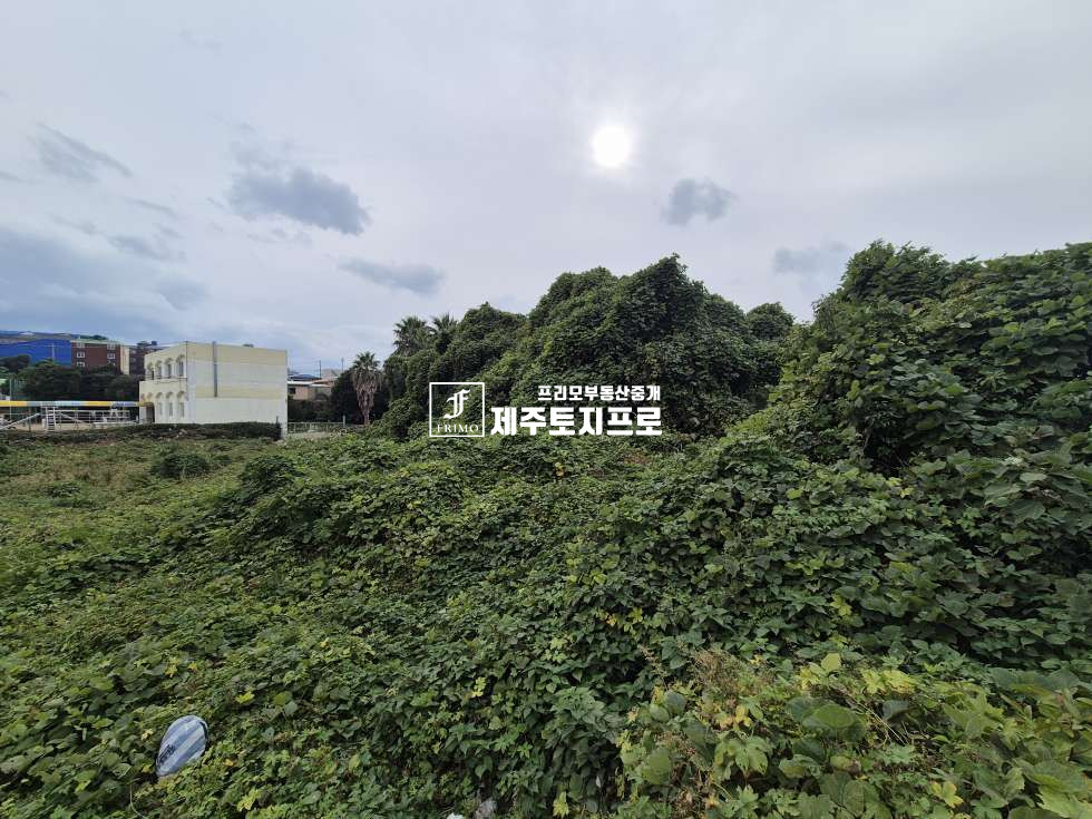 제주 서귀포시 성산읍 고성리 서귀포시 성산읍 고성리 투자용 맹지/인근 시세대비 저렴한 매매금액/동남초등학교인근 매매 매물번호 10768 사진 4