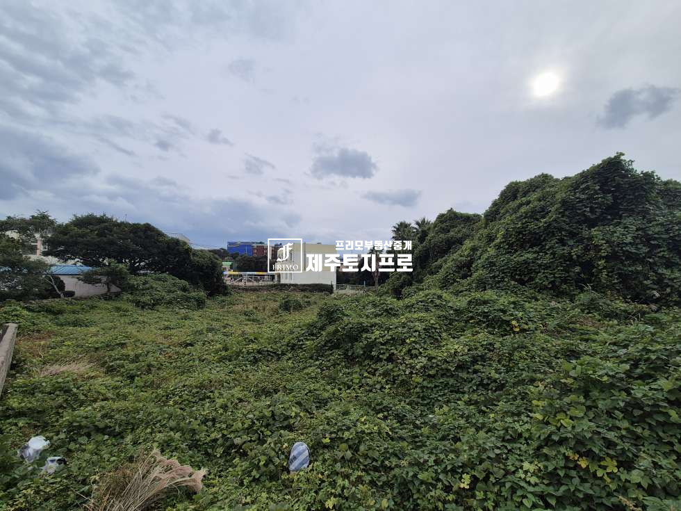 제주 서귀포시 성산읍 고성리 서귀포시 성산읍 고성리 투자용 맹지/인근 시세대비 저렴한 매매금액/동남초등학교인근 매매 매물번호 10768 사진 5