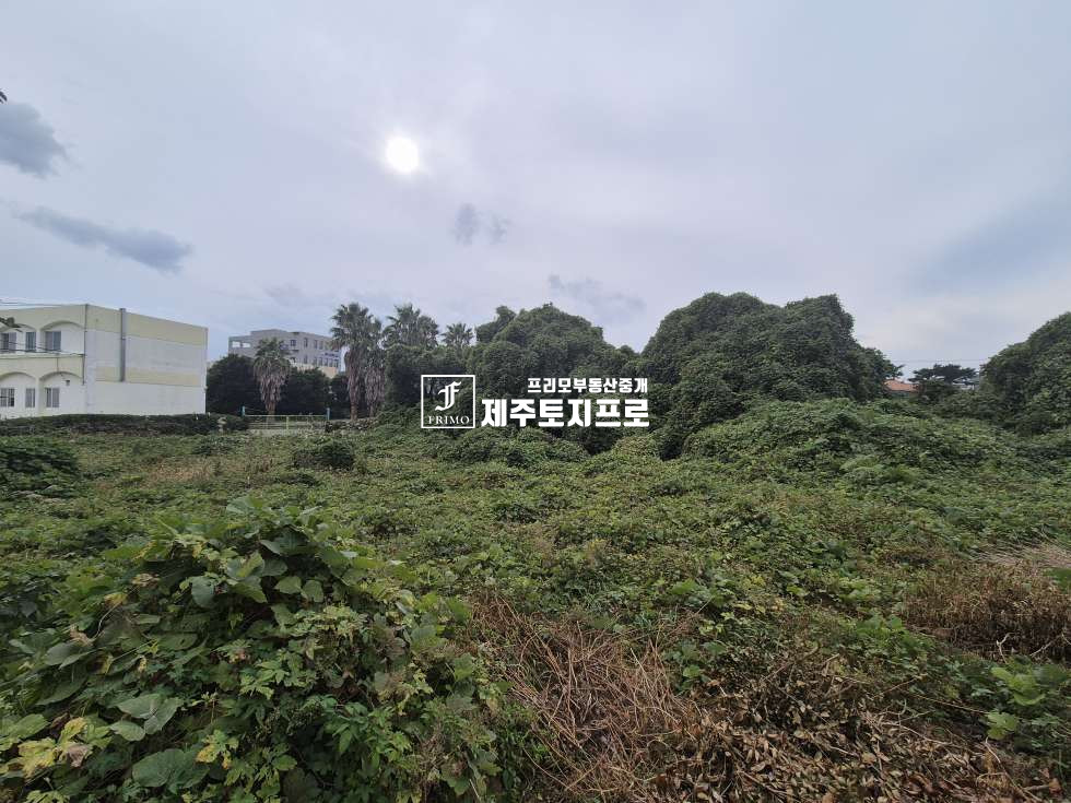 제주 서귀포시 성산읍 고성리 서귀포시 성산읍 고성리 투자용 맹지/인근 시세대비 저렴한 매매금액/동남초등학교인근 매매 매물번호 10768 사진 6
